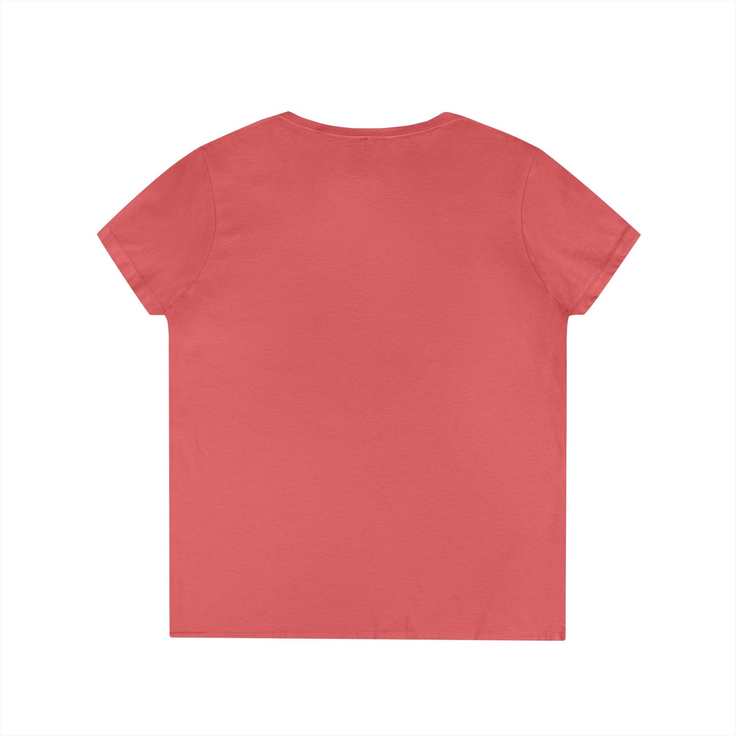 Gulf of Mexico Flamingo V-Neck T-Shirt - Stay Salty, Resist