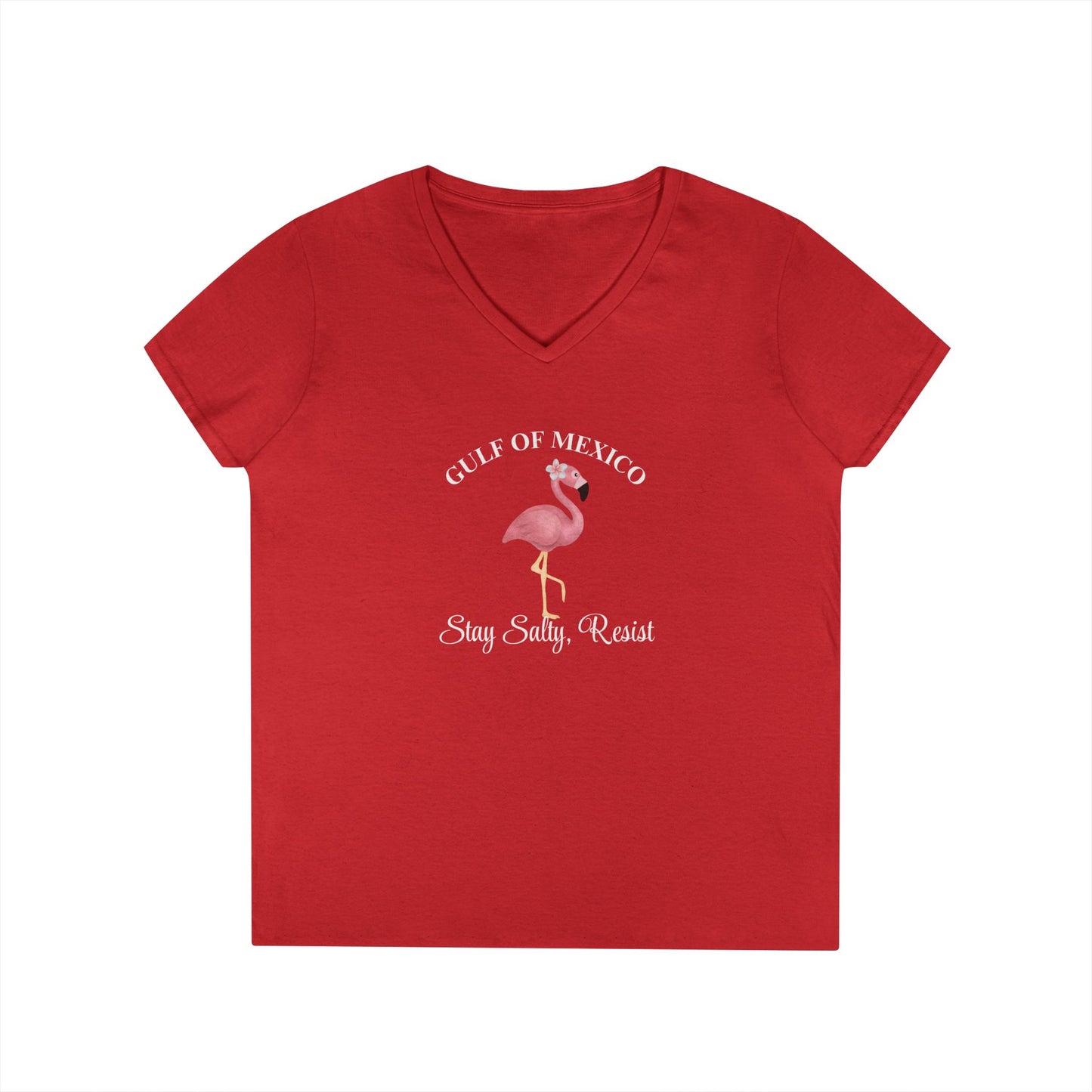 Gulf of Mexico Flamingo V-Neck T-Shirt - Stay Salty, Resist