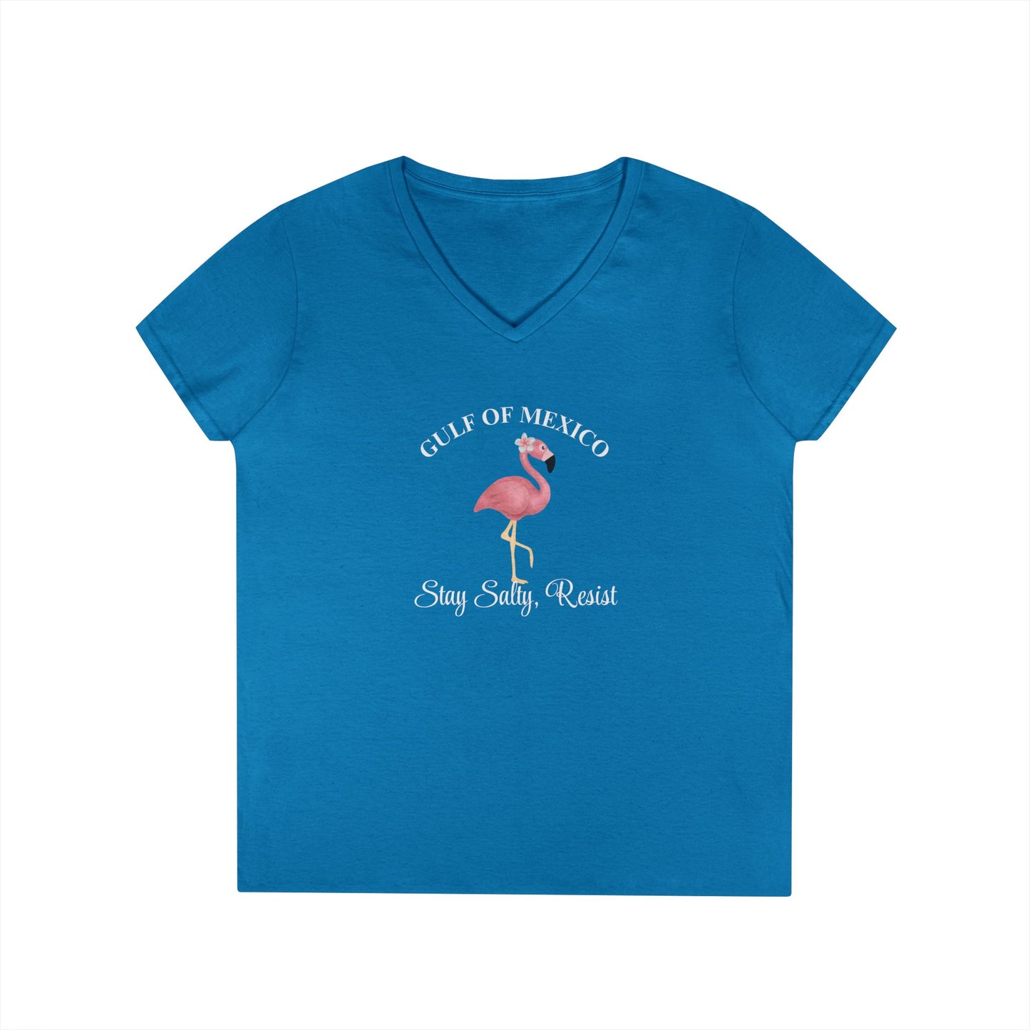 Gulf of Mexico Flamingo V-Neck T-Shirt - Stay Salty, Resist