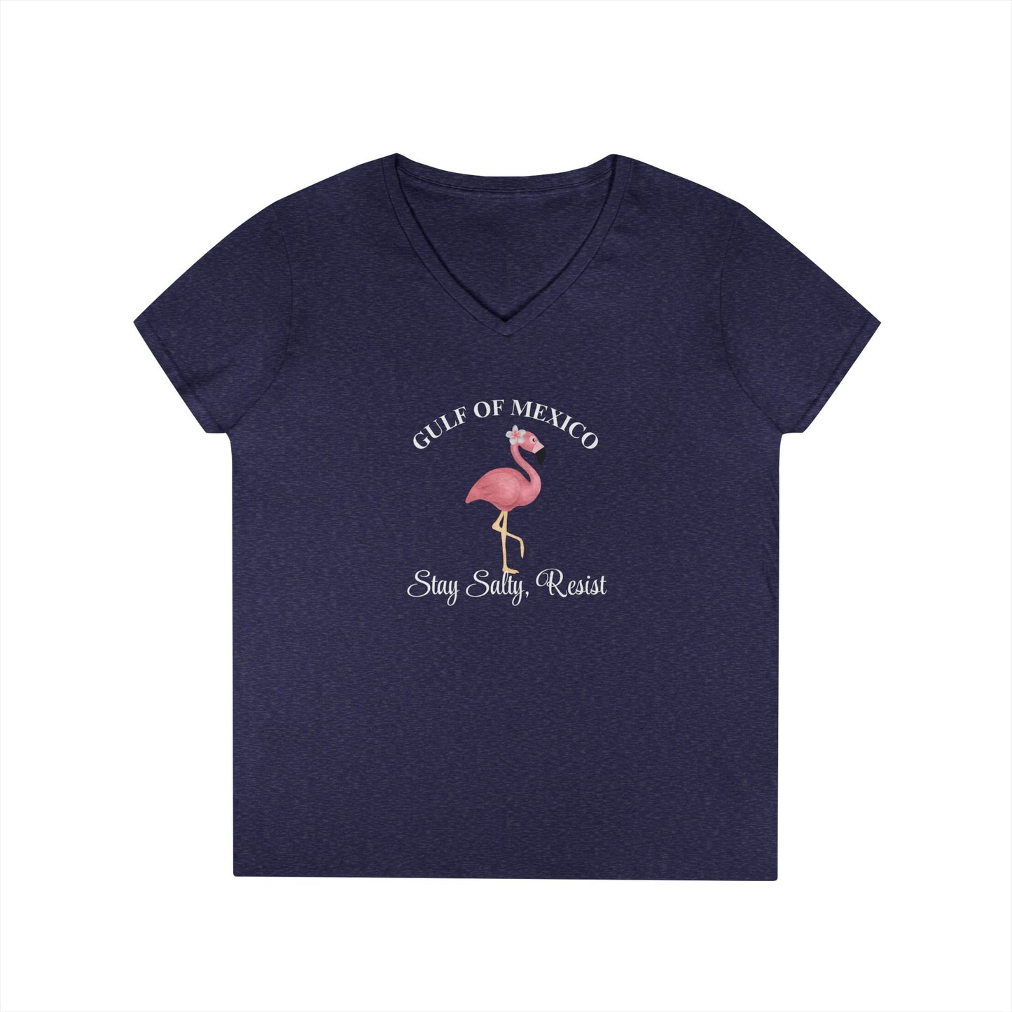 Gulf of Mexico Flamingo V-Neck T-Shirt - Stay Salty, Resist