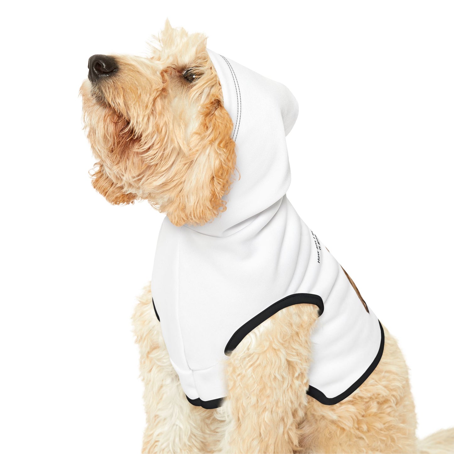 Pet Hoodie