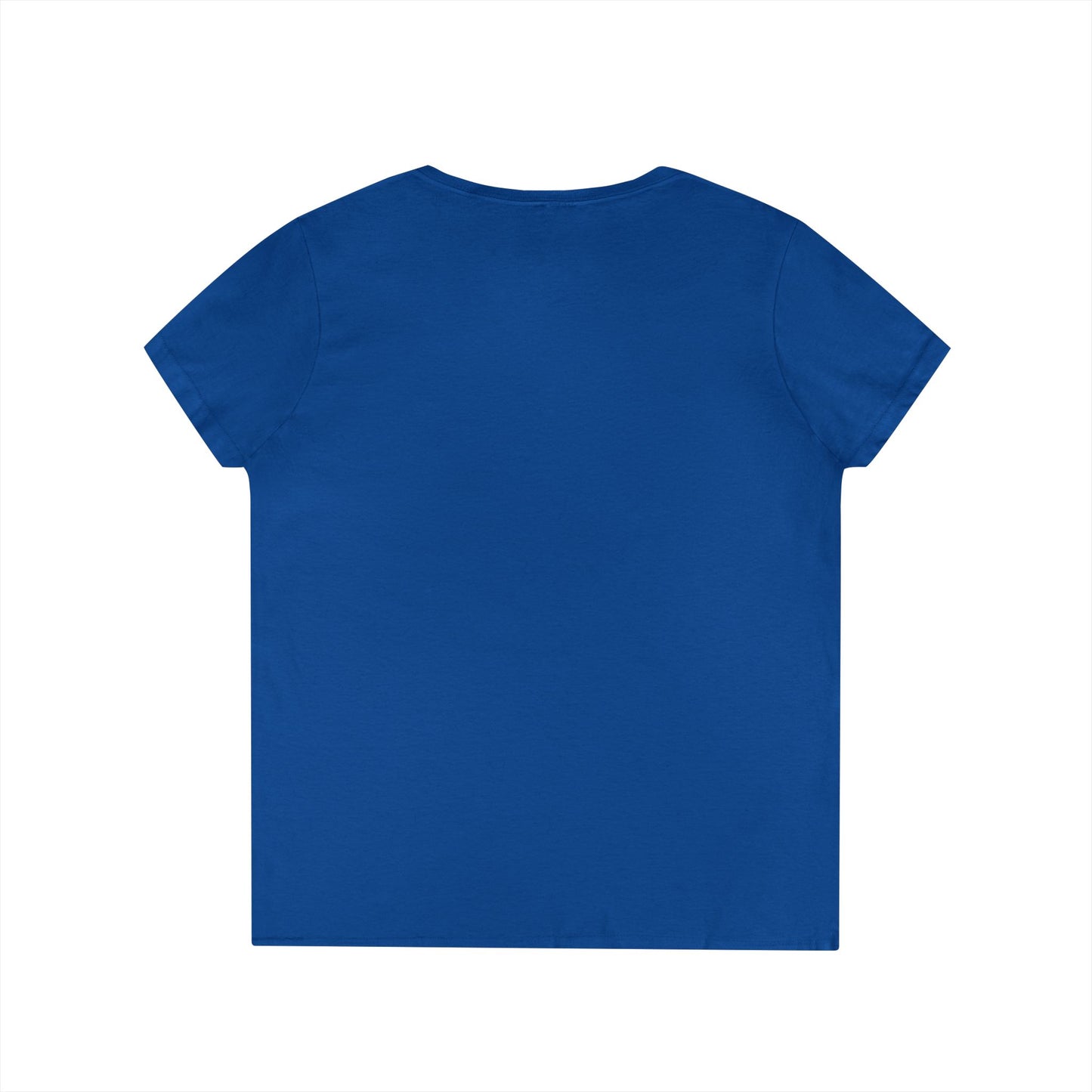Gulf of Mexico Flamingo V-Neck T-Shirt - Stay Salty, Resist