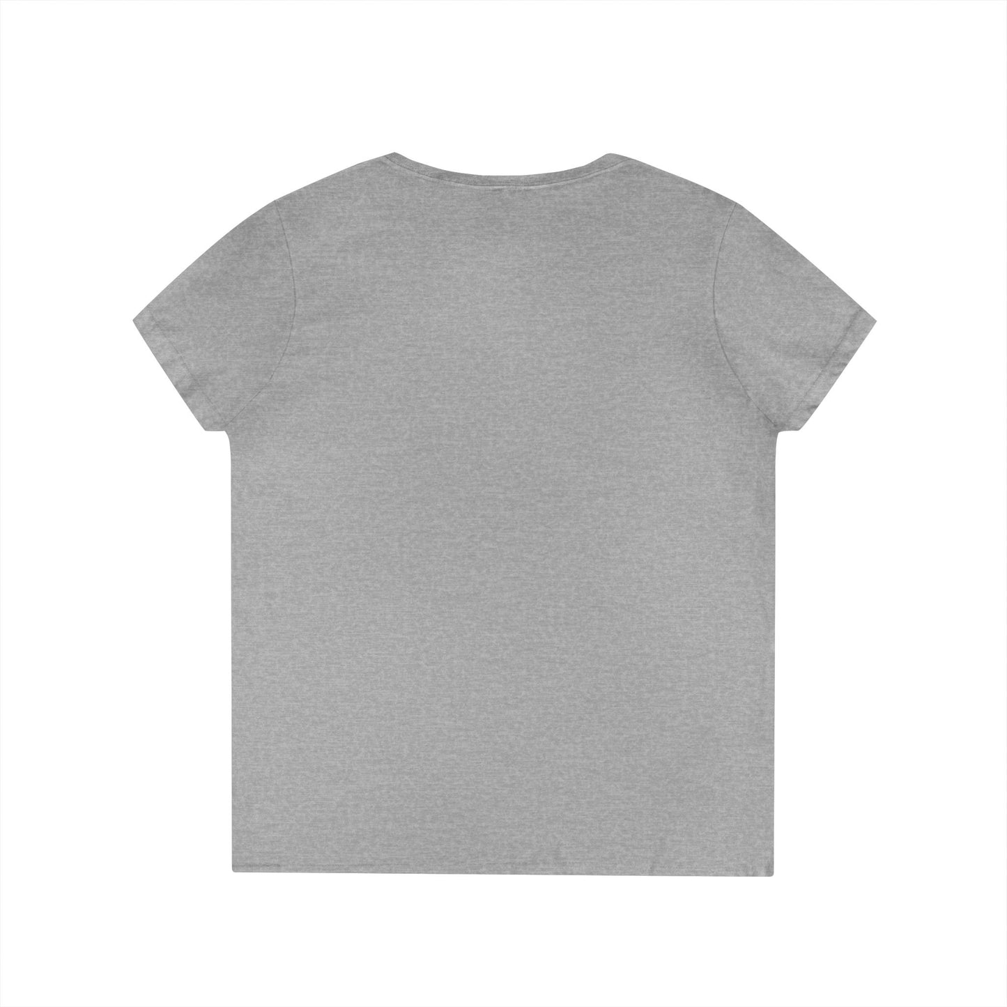 Gulf of Mexico Flamingo V-Neck T-Shirt - Stay Salty, Resist