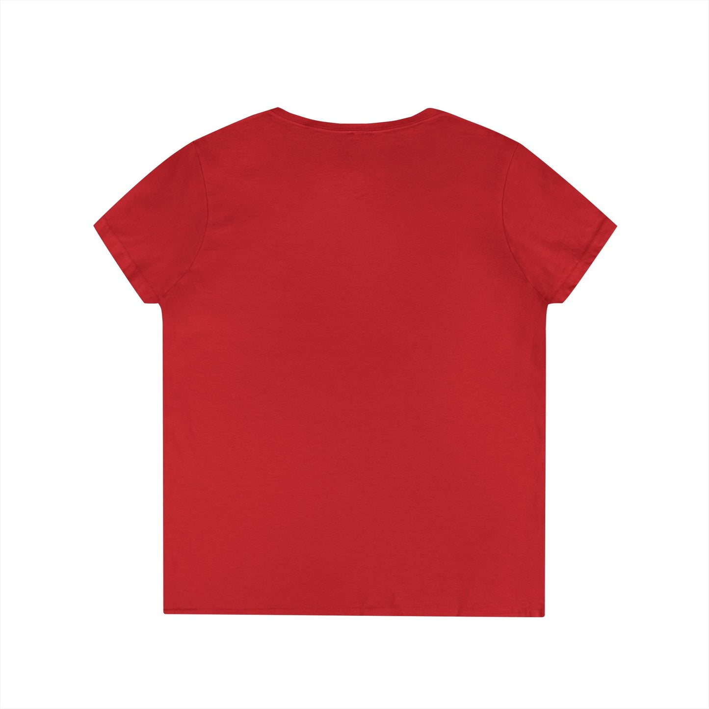 Gulf of Mexico Flamingo V-Neck T-Shirt - Stay Salty, Resist