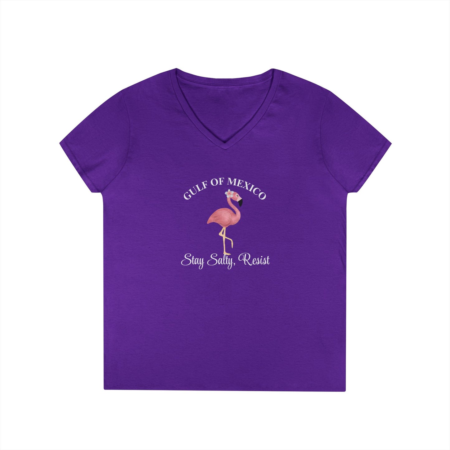 Gulf of Mexico Flamingo V-Neck T-Shirt - Stay Salty, Resist