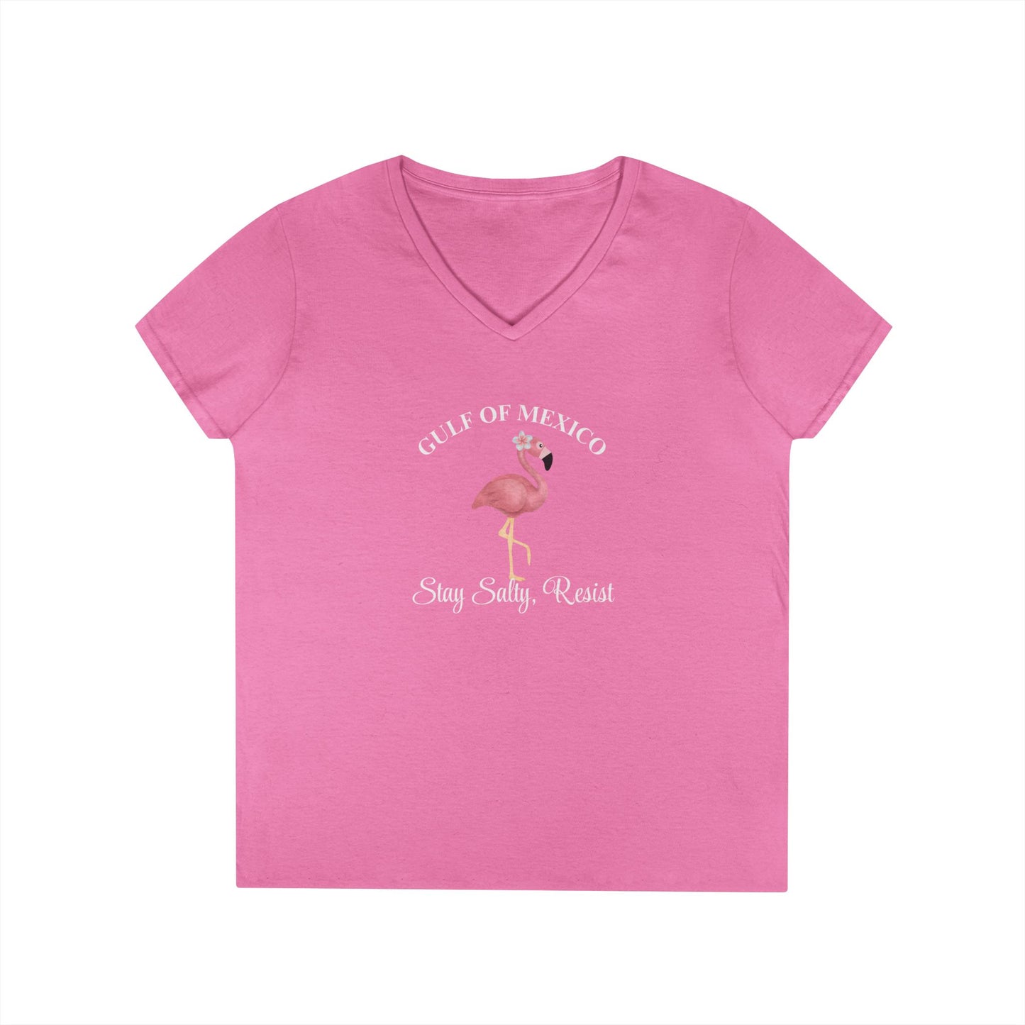 Gulf of Mexico Flamingo V-Neck T-Shirt - Stay Salty, Resist