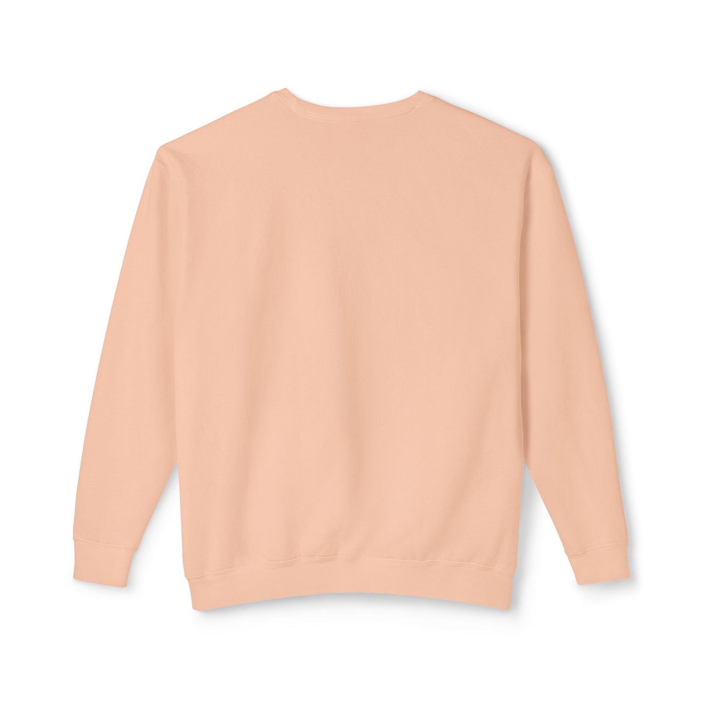 Crewneck Sweatshirt - I Can Explain It to You but I Can't Understand It for You