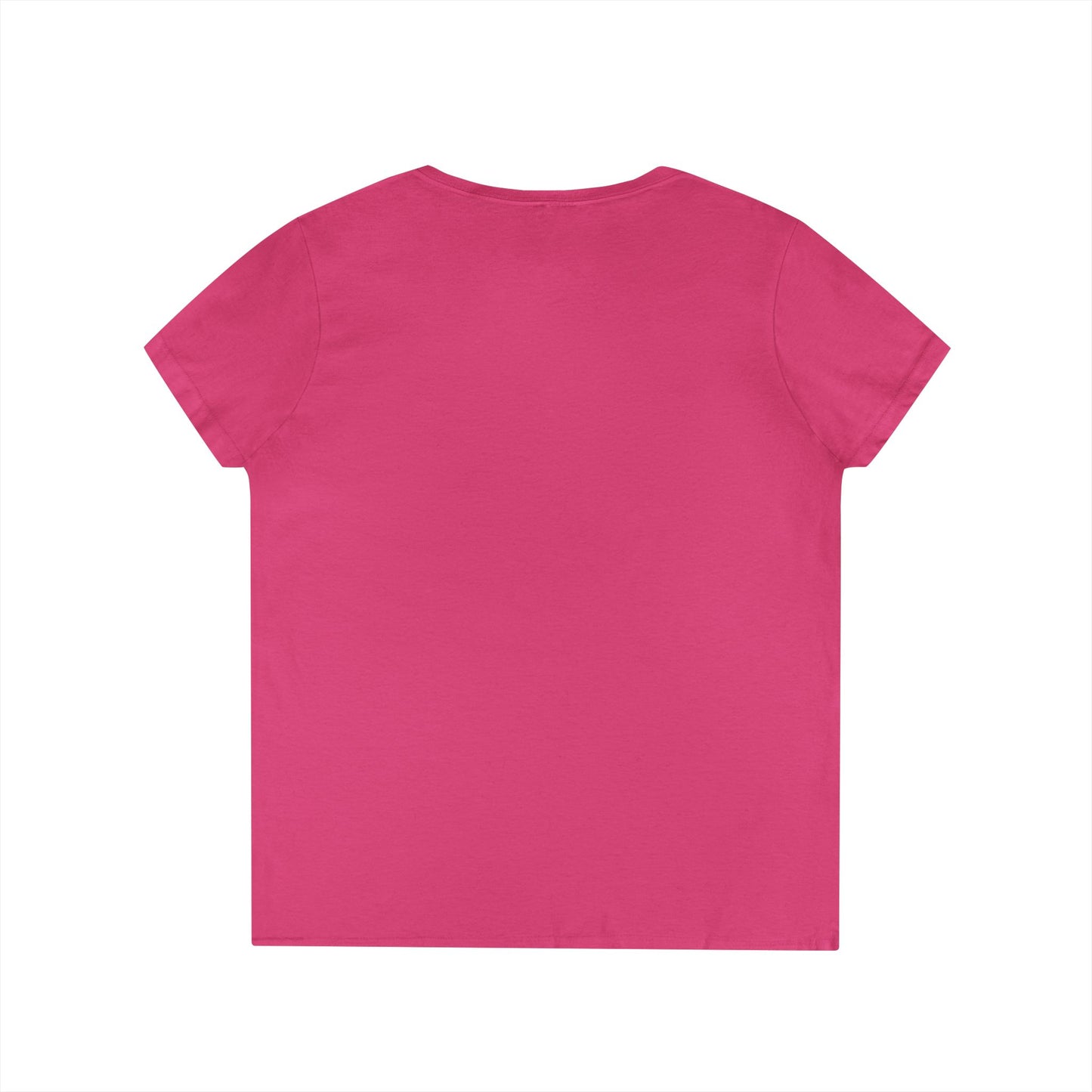 Gulf of Mexico Flamingo V-Neck T-Shirt - Stay Salty, Resist