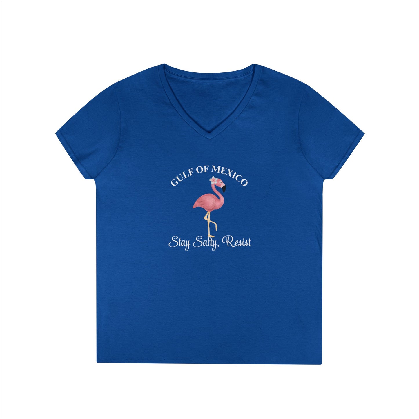 Gulf of Mexico Flamingo V-Neck T-Shirt - Stay Salty, Resist