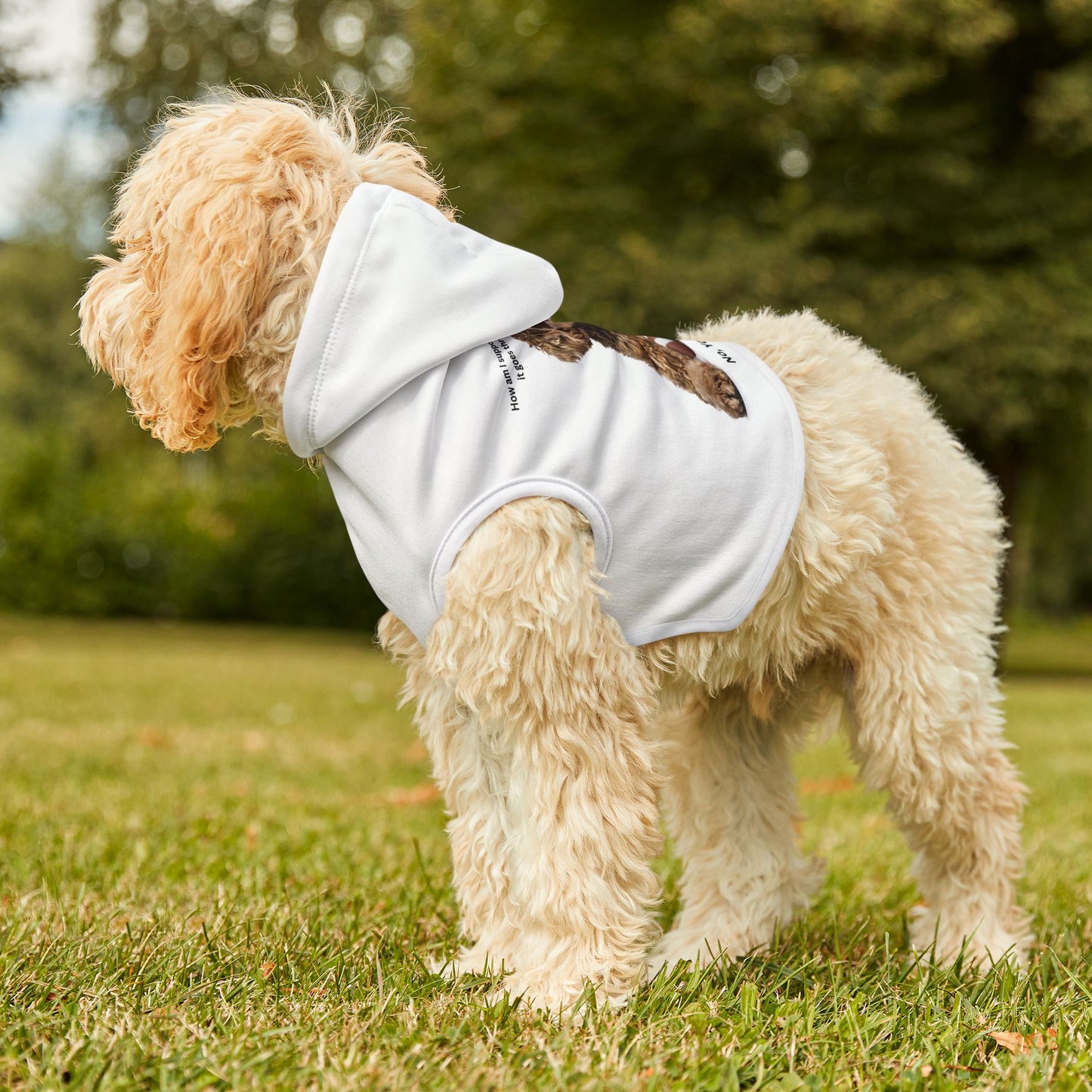 Pet Hoodie
