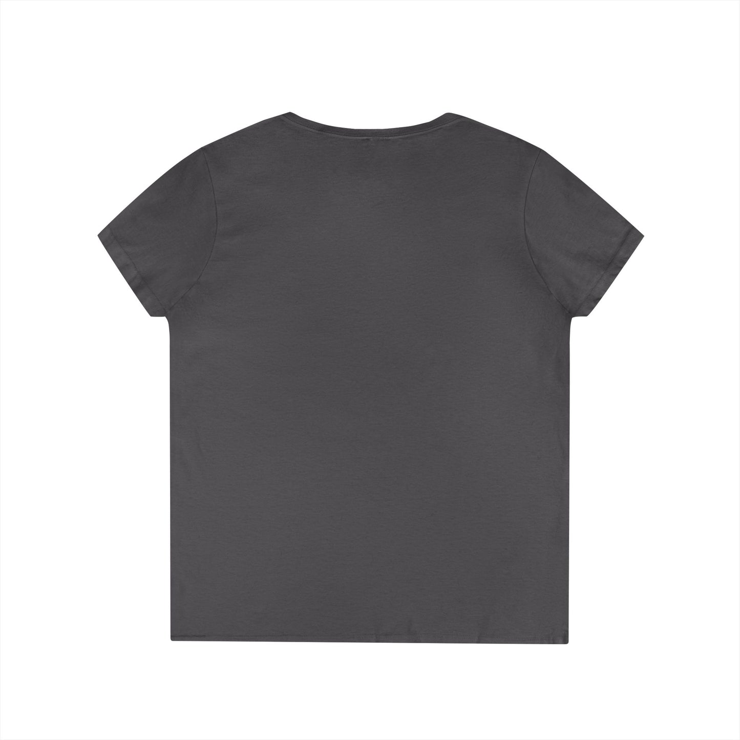 Gulf of Mexico Flamingo V-Neck T-Shirt - Stay Salty, Resist
