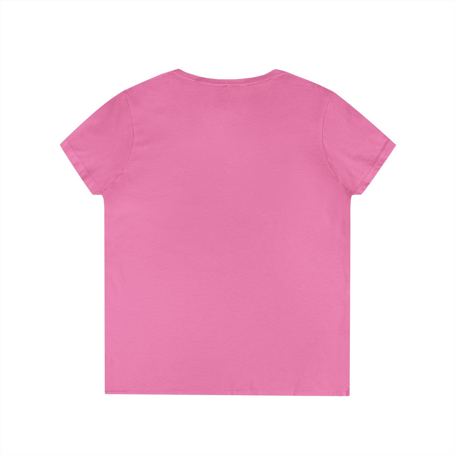 Gulf of Mexico Flamingo V-Neck T-Shirt - Stay Salty, Resist