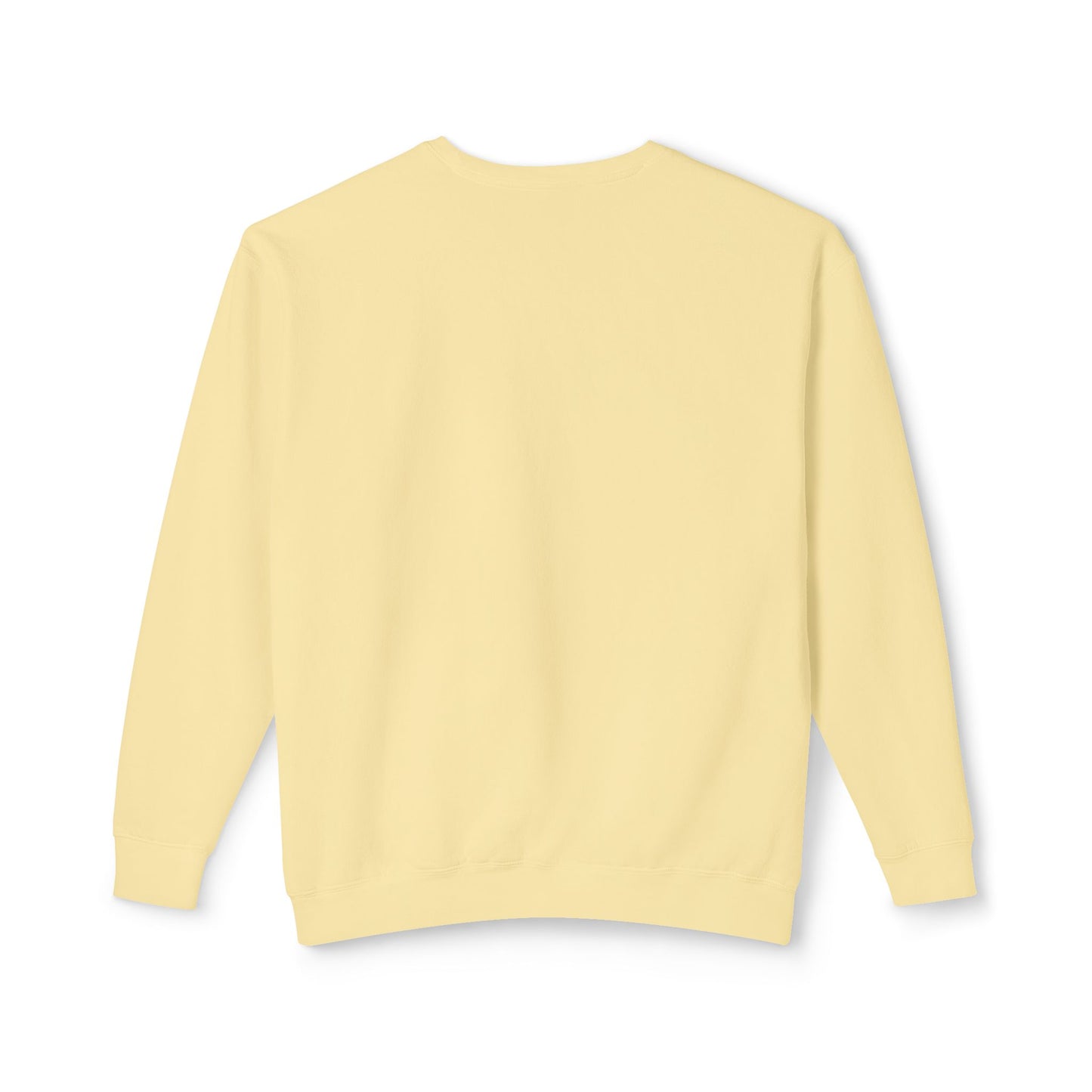 Crewneck Sweatshirt - I Can Explain It to You but I Can't Understand It for You