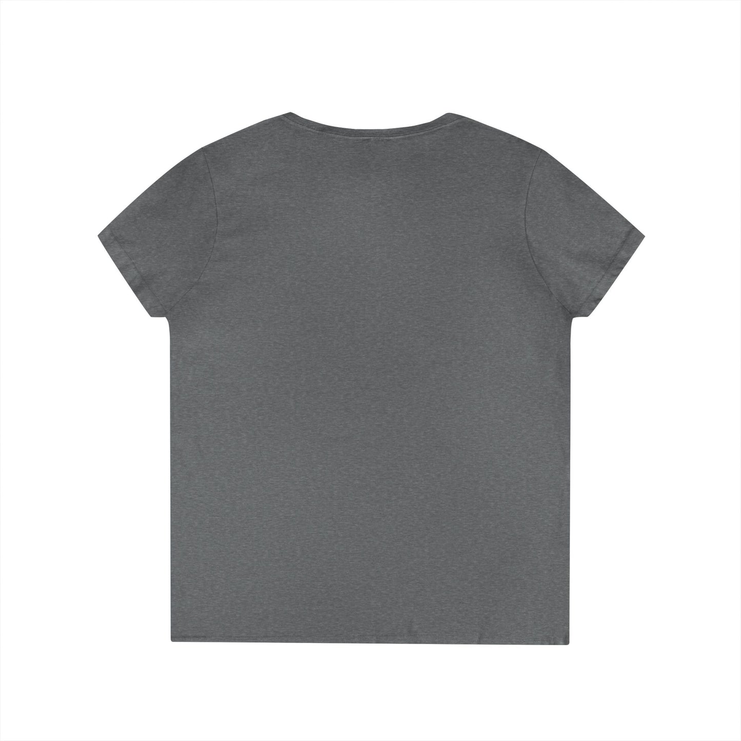 Gulf of Mexico Flamingo V-Neck T-Shirt - Stay Salty, Resist