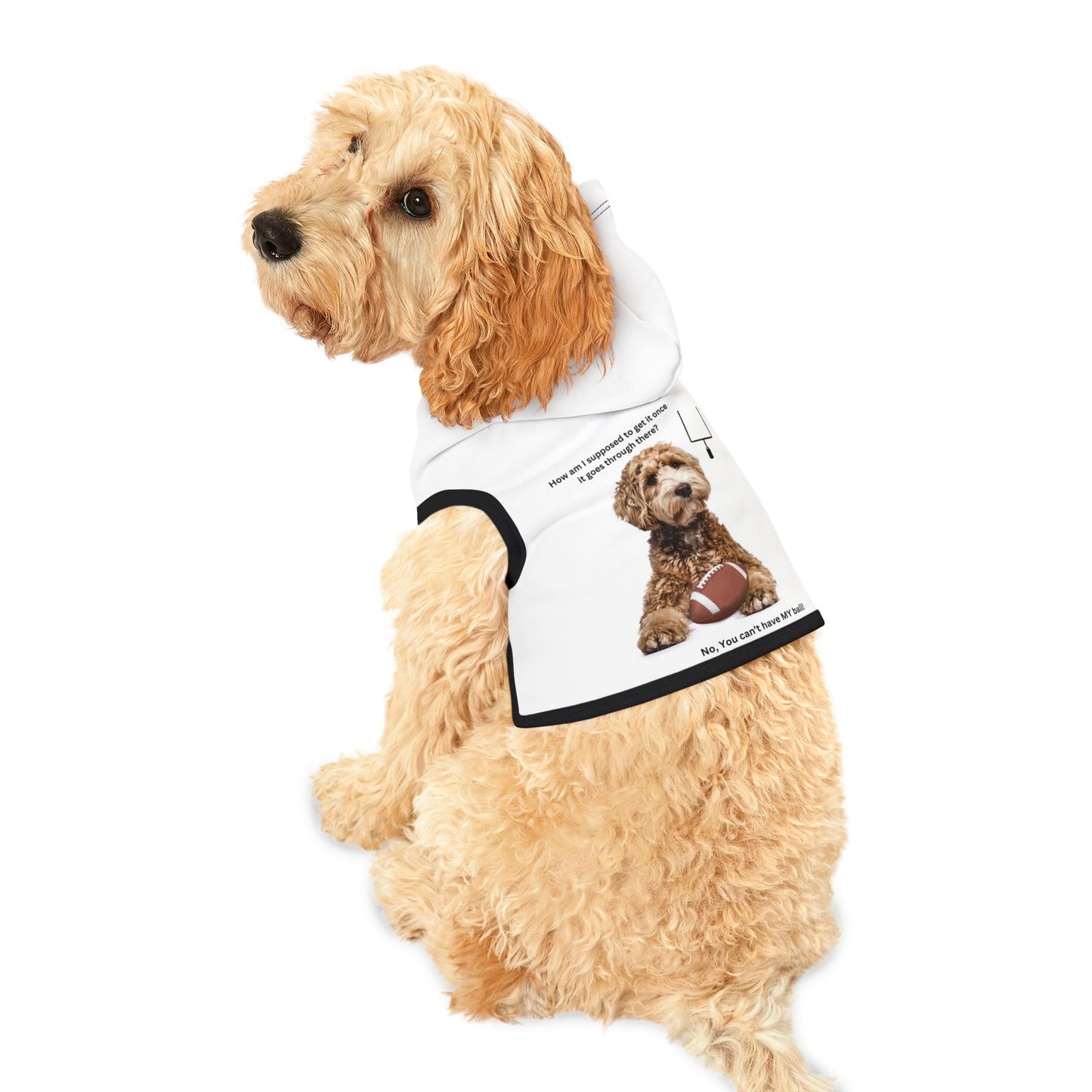 Pet Hoodie