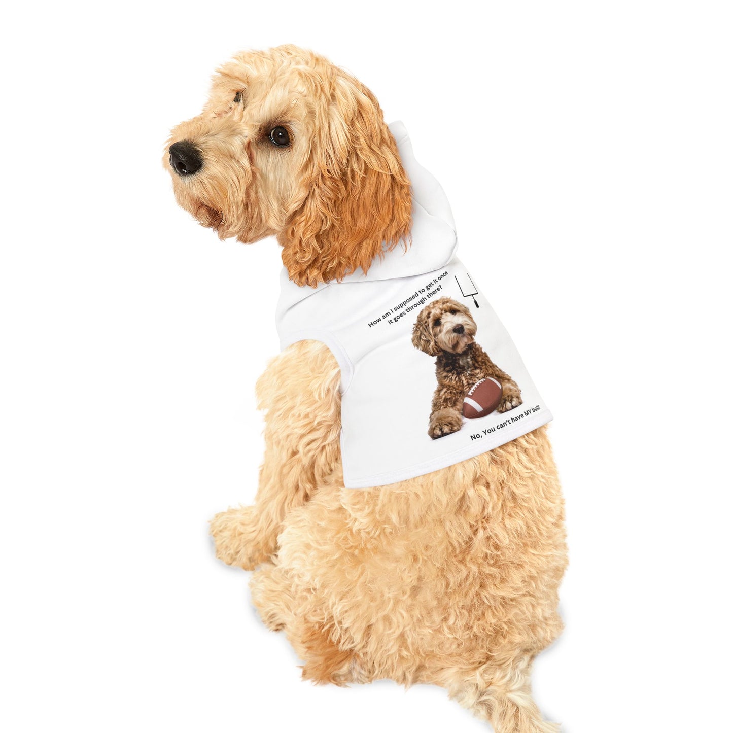 Pet Hoodie