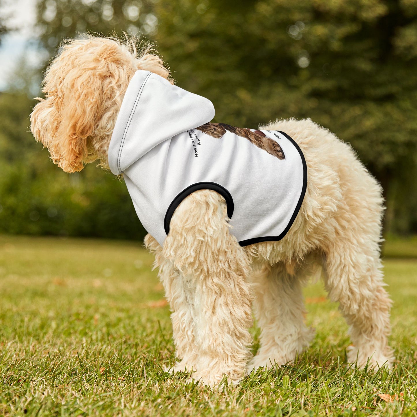 Pet Hoodie