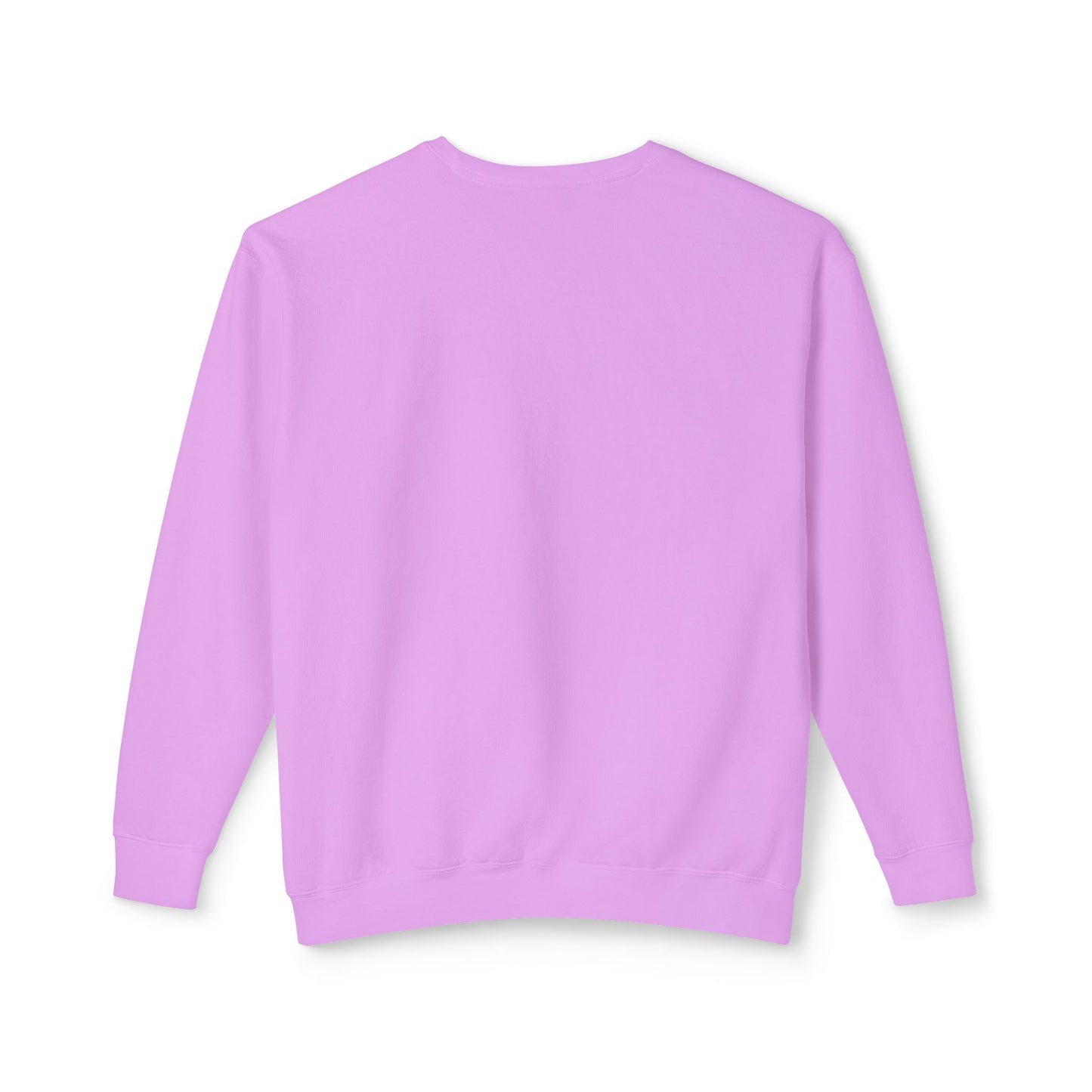 Crewneck Sweatshirt - I Can Explain It to You but I Can't Understand It for You