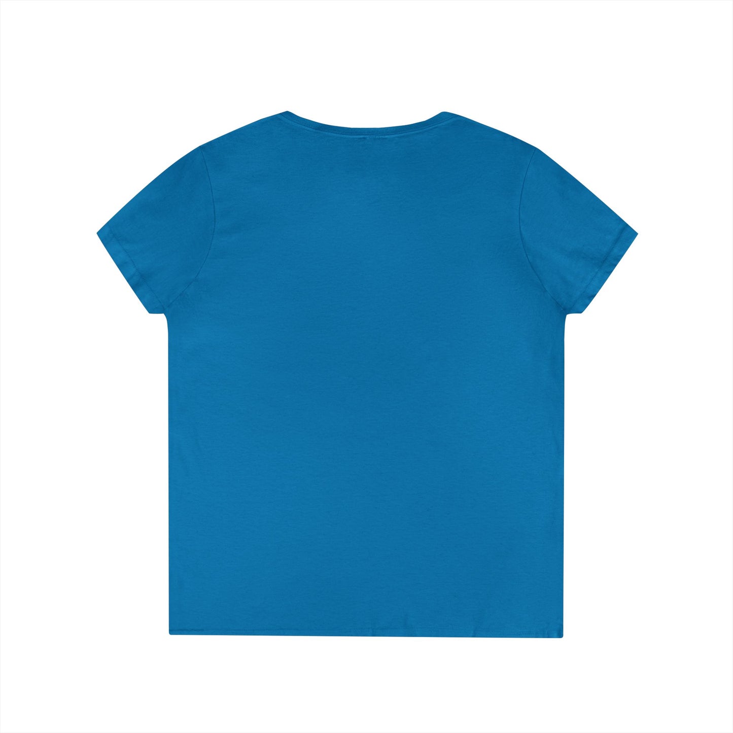 Gulf of Mexico Flamingo V-Neck T-Shirt - Stay Salty, Resist