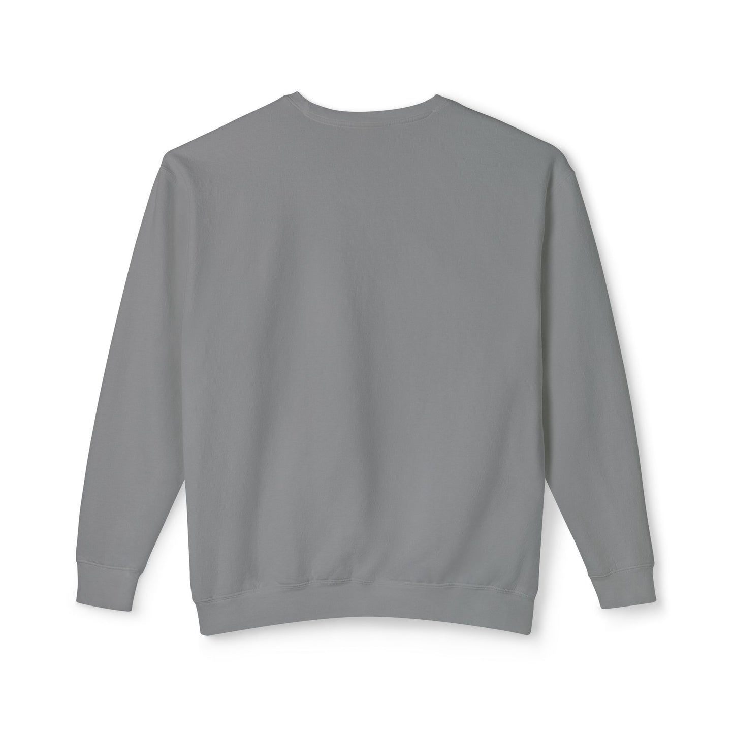 Crewneck Sweatshirt - I Can Explain It to You but I Can't Understand It for You