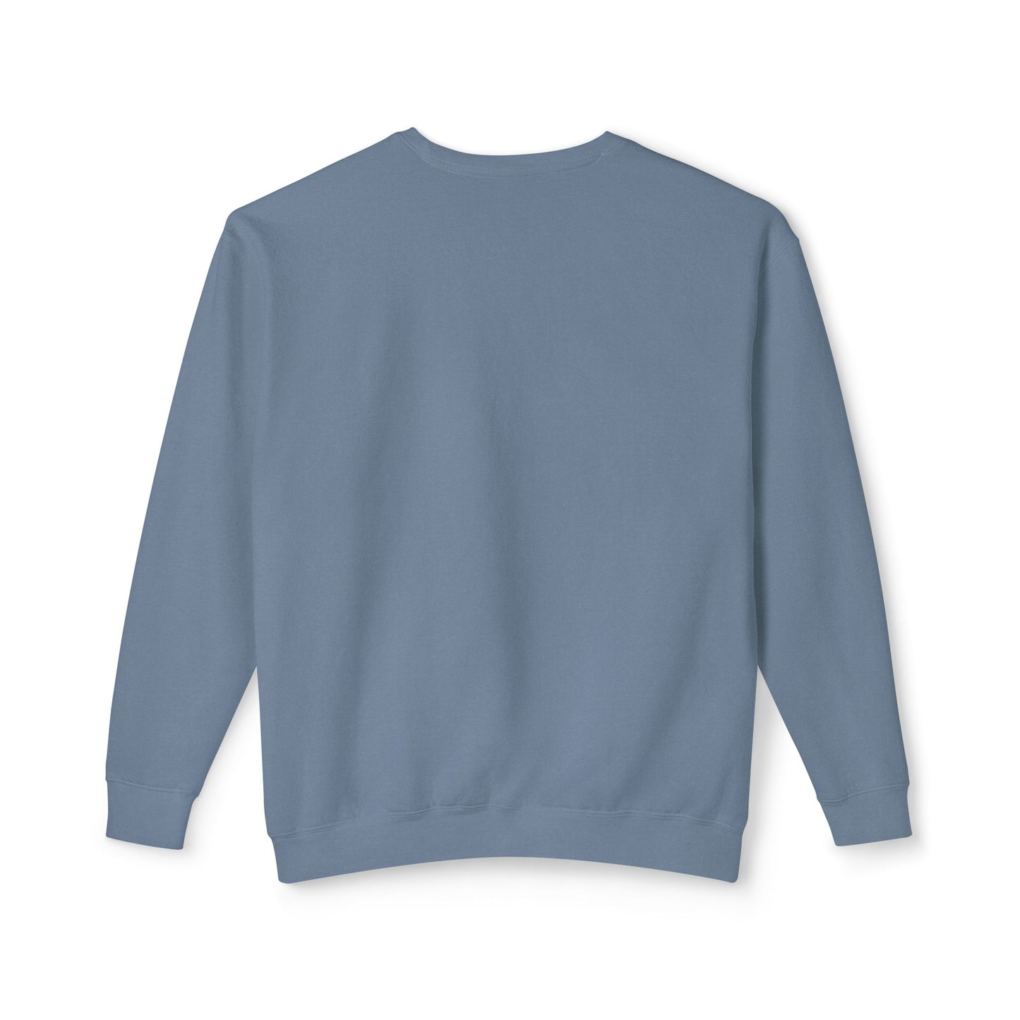 Crewneck Sweatshirt - I Can Explain It to You but I Can't Understand It for You