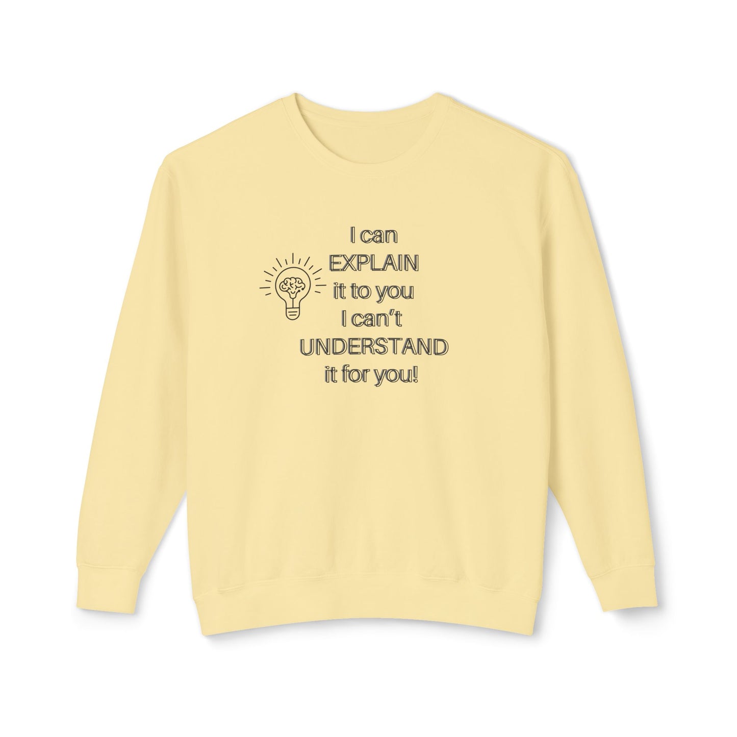 Crewneck Sweatshirt - I Can Explain It to You but I Can't Understand It for You