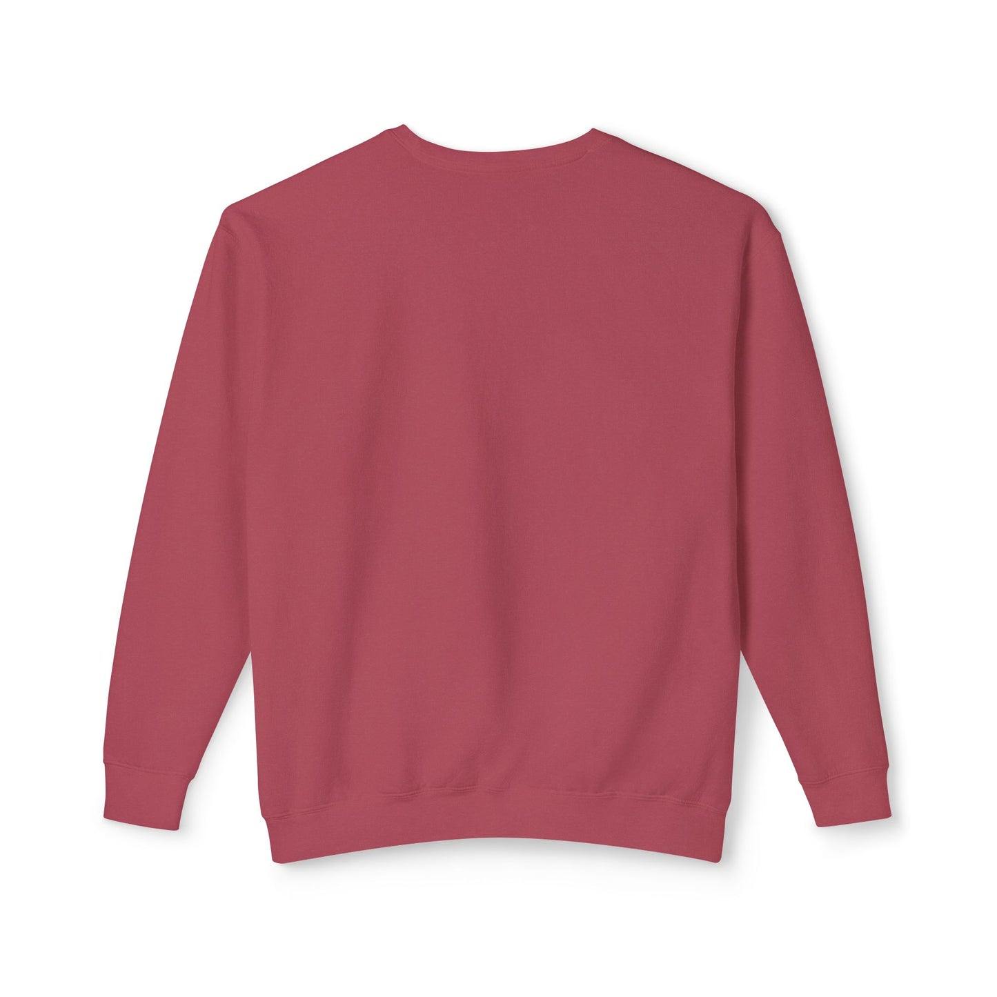 Crewneck Sweatshirt - I Can Explain It to You but I Can't Understand It for You